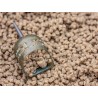 Sonubaits S-Pellet Feed 2mm 1kg