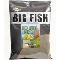 Dynamite Baits Big Fish Feed Green Lipped Mussel Method Mix
