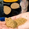 Andy Findlay Fin Perfect Feed Pellets 2mm